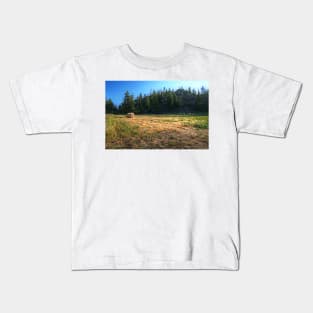 Glacier National Park Lake, Mountains, Hay Kids T-Shirt
